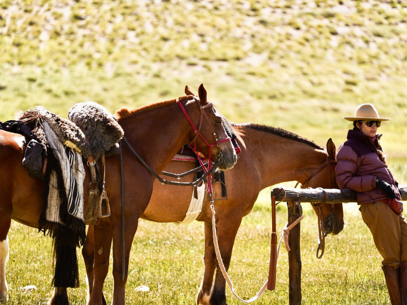 Cruce por los Andes